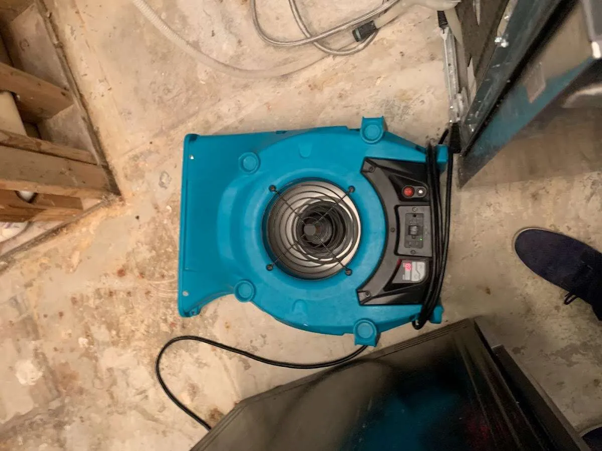 Air mover drying equipment for Mold Remediation & Removal in San Luis