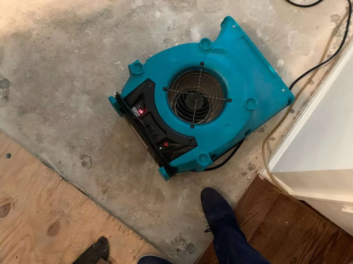 Air mover drying subfloor during Commercial Water Damage Restoration in San Luis